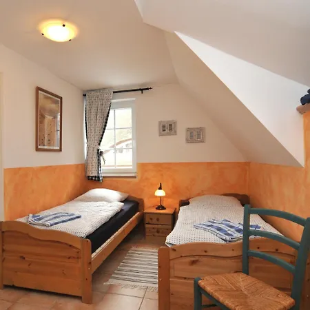 Suenneck זינקסט