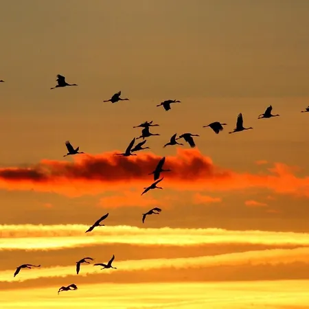 בית נופש Suenneck *