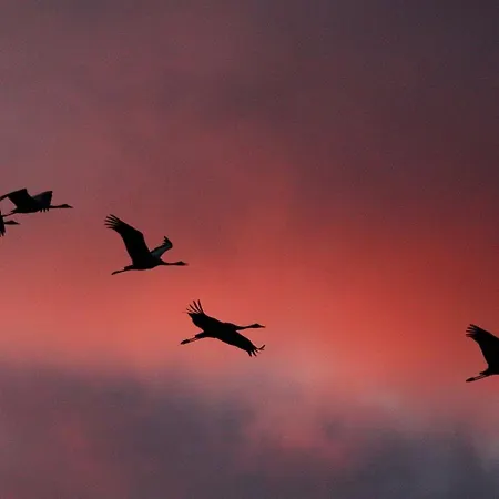 Suenneck בית נופש